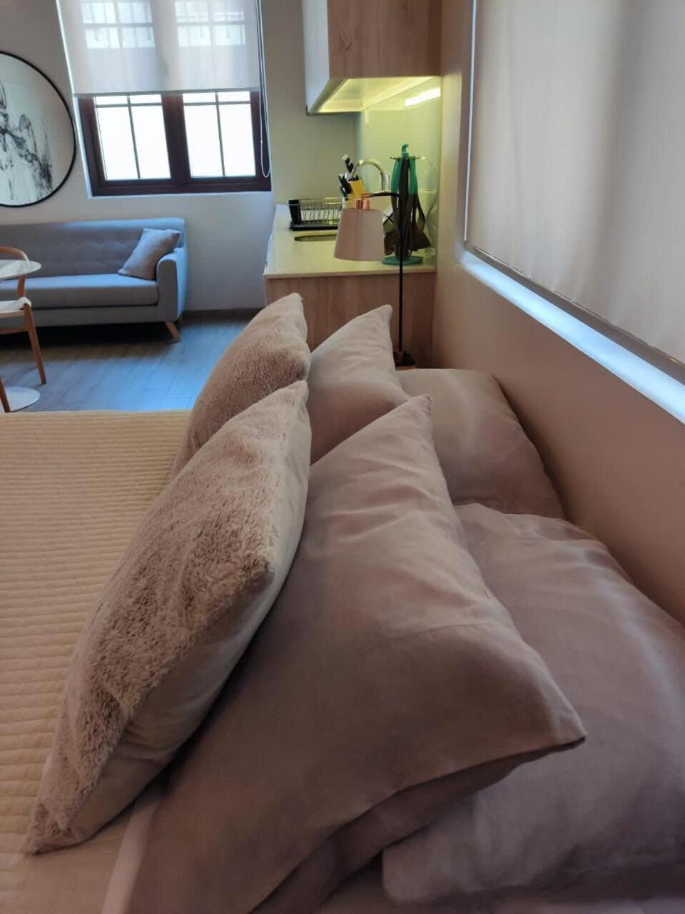 Apartment Hom I Estudio En El Mejor Proyecto De Parking 2611
